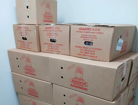 Διανομή τροφίμων Πάσχα 2025